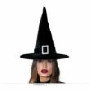 Velvet Harry Witches Hat