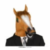 Horse Mask With Hair Latex -Snazaroo Sales 2677 3cab2a6ee8
