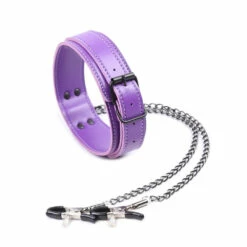 Collar With Clamps, Purple -Snazaroo Sales 3432165452 1557592402 c7ce08aaf7