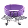 Collar With Clamps, Purple -Snazaroo Sales 3432174254 1557592402 1bc8078742