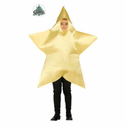 Christmas Star Costume