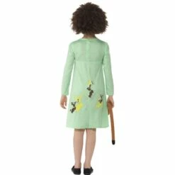 Smiffys Roald Dahl Mrs Twit Costume -Snazaroo Sales 42854 1 5bb317f58e