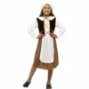 Smiffys Tudor Girl Costume -Snazaroo Sales 44015 6e98d25f91