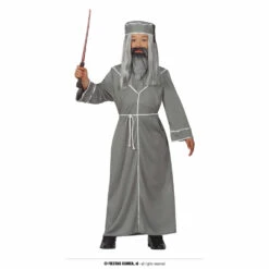 Master Of Magic Costume