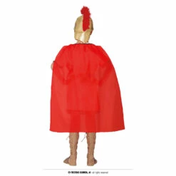 Gladiator Costume -Snazaroo Sales 77225 2 b39050fcad