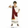 Roman Tunic Costume -Snazaroo Sales 85884 d4bf564380