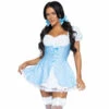LEG AVENUE Gingham Dress Costume -Snazaroo Sales 86988 059 01 e18ae83368