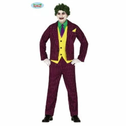Crazy Villain Costume