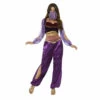 Smiffys Arabian Princess Costume -Snazaroo Sales arabian princess costume purple 2000x cd7b68bce5