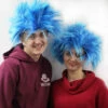 2x Spikey Blue Character Wigs -Snazaroo Sales s l1600 214015d7bb