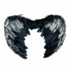 Feather Wings, Black