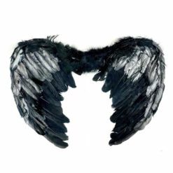 Feather Wings, Black