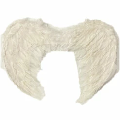 Feather Wings, White