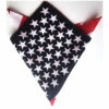 Bandana, USA Flag -Snazaroo Sales slide1 ef7f109c9f