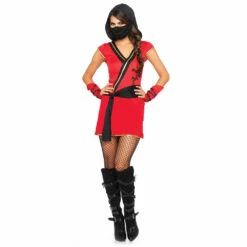 LEG AVENUE Mystic Ninja Costume -Snazaroo Sales w40013 012 01 df0734dd0e