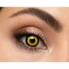 Mesmereyez Wolf Contact Lenses -Snazaroo Sales wolf fbbf888faf